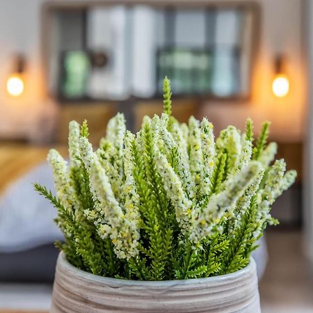 דירות קורדובה Garesc Lofts מראה חיצוני תמונה