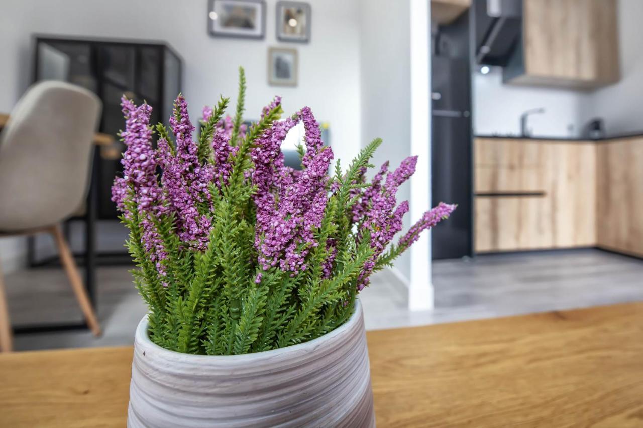 דירות קורדובה Garesc Lofts מראה חיצוני תמונה