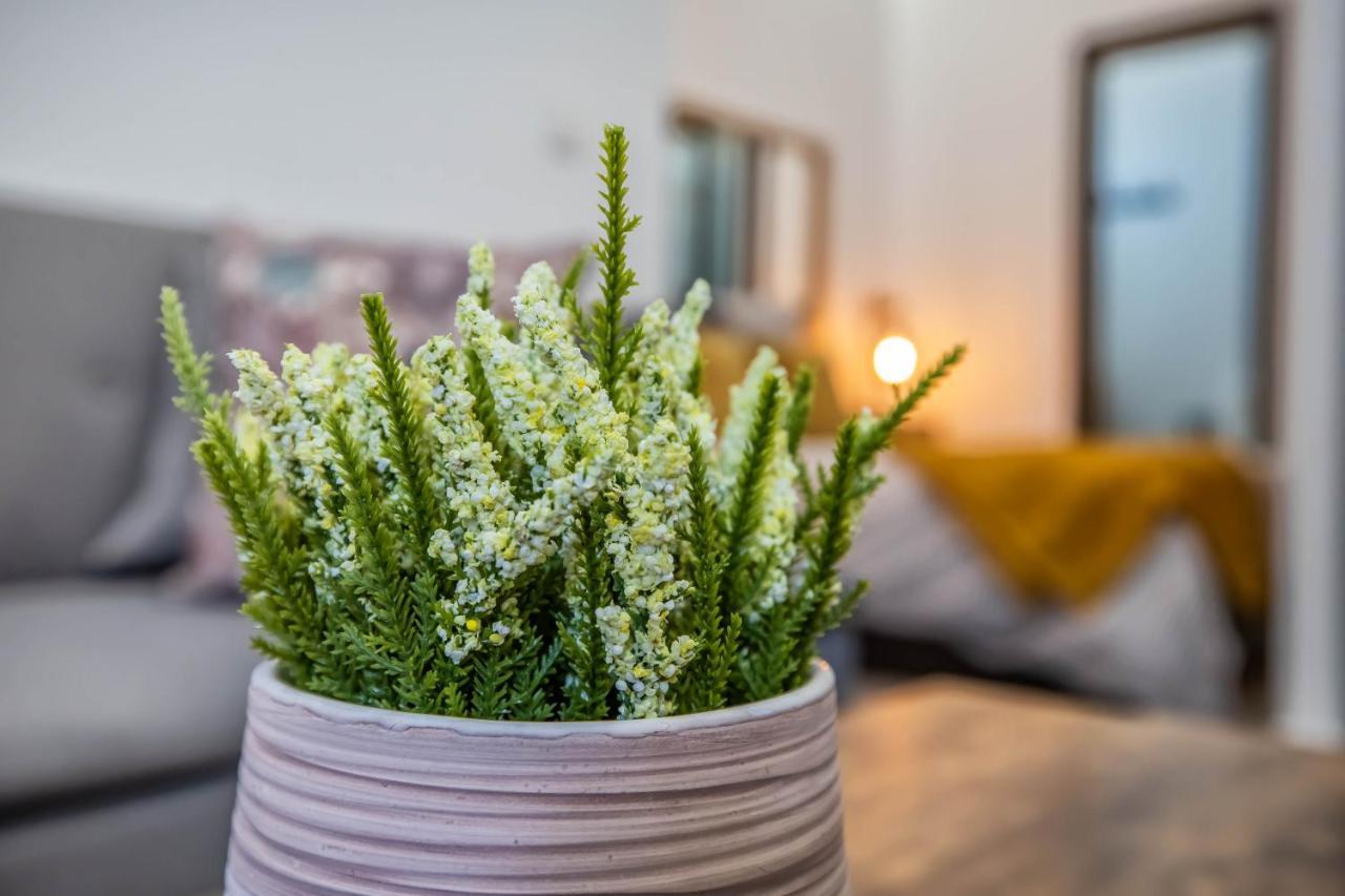 דירות קורדובה Garesc Lofts מראה חיצוני תמונה